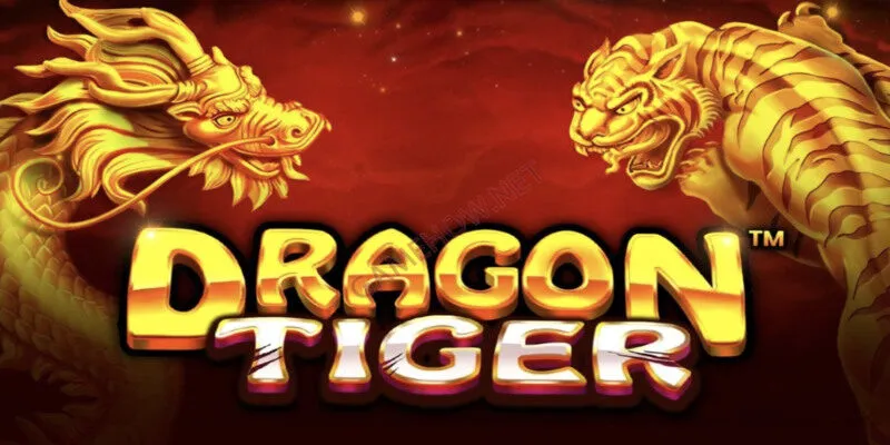 Bí quyết chơi Rồng Hổ luôn thắng