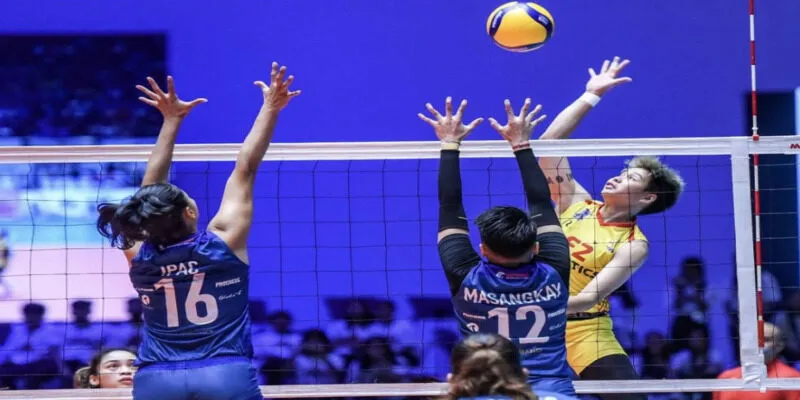 Cá Cược Bóng Chuyền