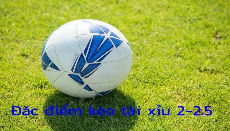 Cách tính tiền thưởng thắng thua trong Tài Xỉu 2 2.5